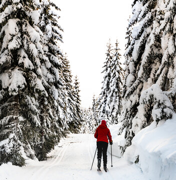 Cross country skiing through a beautiful winter wonderland. 