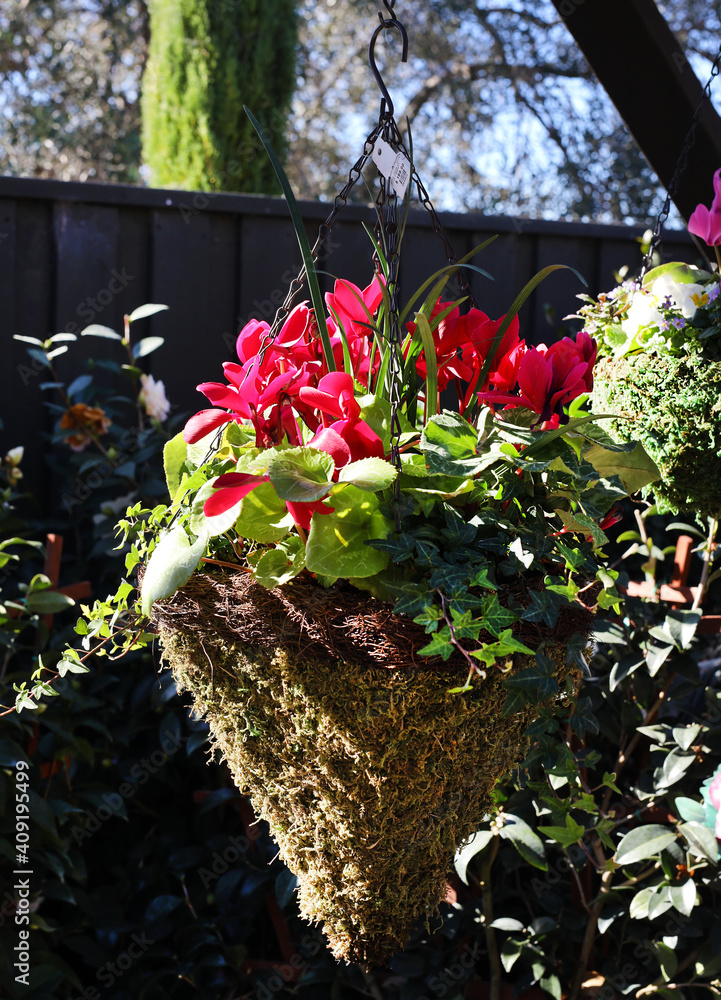 Sticker hanging flower basket 