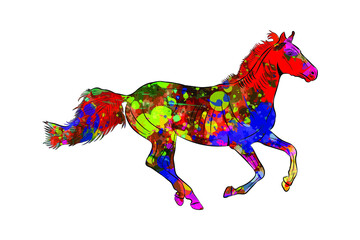 colorful horse vector art, color splash horse line art, Coloring horse run, horse line art with color splash. colorful illustration horses