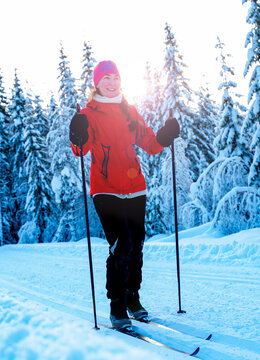 Young woman cross country skiing through a snow covered forest on a sunny winters day.