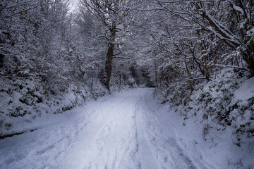 Obraz premium snow covered road