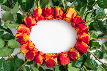 Red and yellow roses in shape of round frame on white background. Flat lay, top view, free copy space. - 409195812
