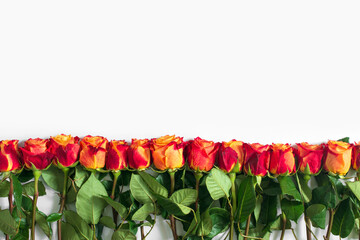 Red and yellow roses isolated on white background. Flat lay, top view, free copy space. - 409195840