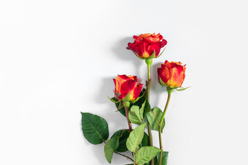 Three red roses isolated on white background. Flat lay, top view, free copy space. - 409196029