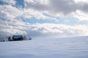 冬美瑛一日の終わりの丘で
