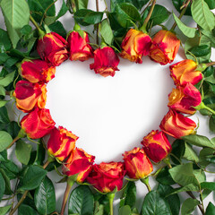 Red and yellow roses in shape of heart frame on white background. Flat lay, top view, free copy space. - 409196080