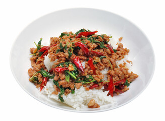 rice with pork