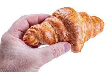 croissant in hand isolated on white background