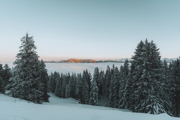 Nebelmeer am Grünten