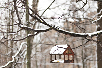 Wooden birdhouse for feeding birds under the snow on a tree branch. Winter time