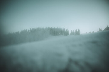 Winterstimmung