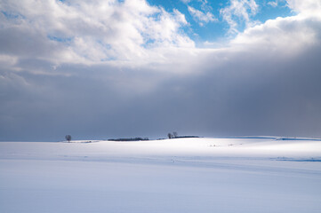 Obraz premium 冬美瑛親子の木の丘遠景