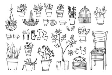 Line sketch of flowers in pots, home decor. Drawing vector black. Chair, furniture, cacti, baskets