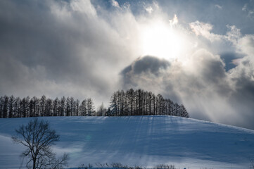 冬美瑛ドラマティックな雪影の丘