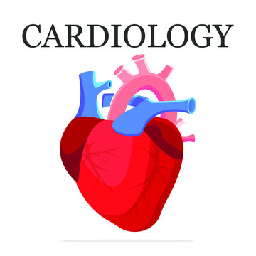 Human heart anatomy with cardiology inscription. Organs symbol.