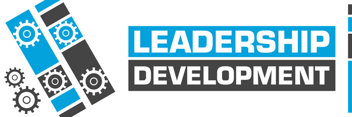 Leadership Development Blue Grey Line Boxes Gears 