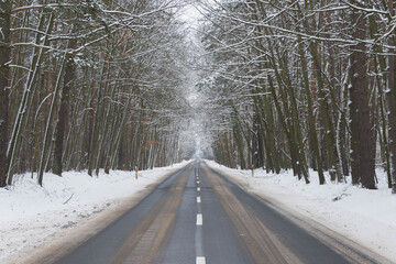 Asfaltowa droga prowadząca przez las pokryty grubą warstwą  śniegu. © boguslavus