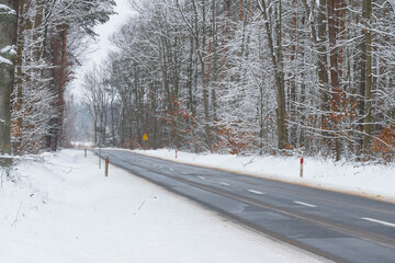 Asfaltowa droga prowadząca przez las pokryty grubą warstwą  śniegu. - obrazy, fototapety, plakaty
