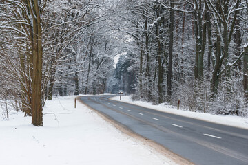 Asfaltowa droga prowadząca przez las pokryty grubą warstwą  śniegu. © boguslavus