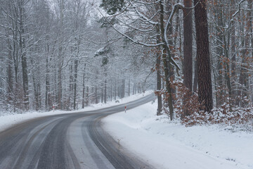 Asfaltowa droga prowadząca przez las pokryty grubą warstwą  śniegu. - obrazy, fototapety, plakaty
