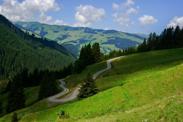 curvy dirt road in green hills while hiking in the mountains