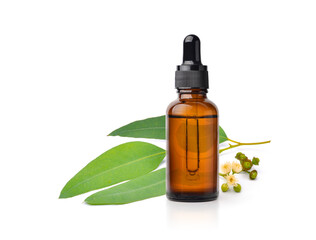 Eucalyptus Essential Oil in amber bottle with green leaves isolated on white background.