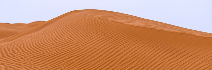 Bend of the ridge of a sand dune in the desert