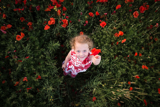 Pretty Child Young Girl Portrait In Red Dress Stood In Big Poppy Flower Field Countryside Landscape Aerial Photograph Drone From Above Standing Surrounded By Wild Flowers Holding Up Plant