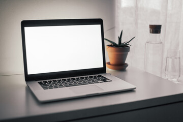 A laptop with white screen on a white table. An aloe plant, a glass of water on the background