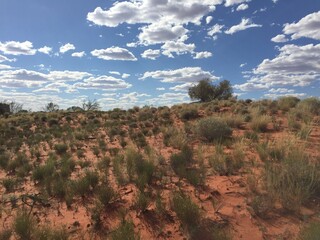 Uluru desert