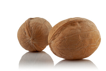 walnuts on a white background