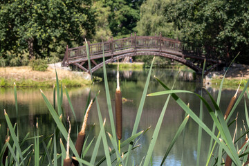 View of a wooden bridge in a park in Leipzig Germany