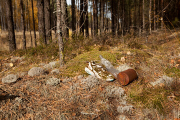 Funny Old shoes, plastic and metal household garbage on edge of forest. Long decaying waste in nature