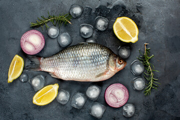 Common carp on black background