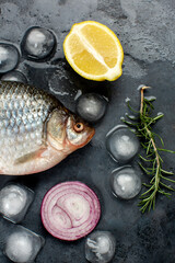 Common carp on black background