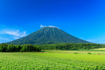 京極町　羊蹄山