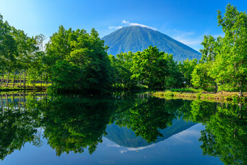 俱知安町　羊蹄山