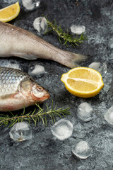 Bersh fish and carp on black background
