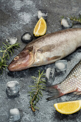 Bersh fish and carp on black background