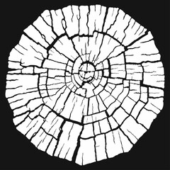 Wood texture of a flat chopped cross section of cracked wooden stump, isolated on black background. Vector 