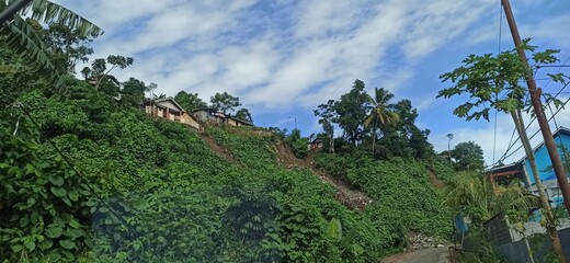 Fototapeta premium keseimbangan alam 