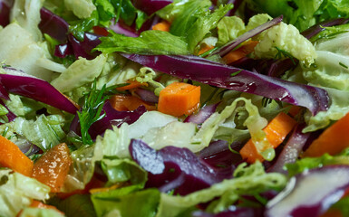 Classic Dutch Koolsla