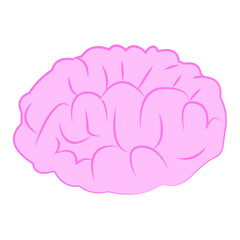 brain illustration