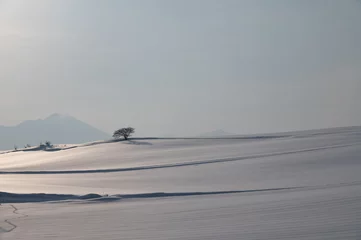 Fotobehang 朝陽に照らされる美瑛の雪の丘 © 大西 親文