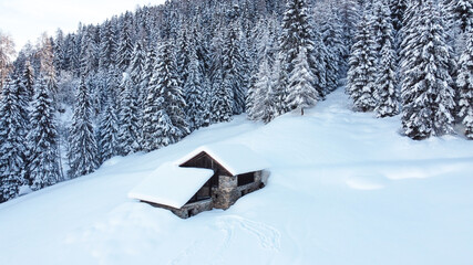maso baita chalet alberi foresta innevato inverno neve 