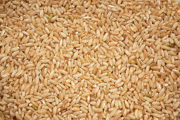 the texture of natural rice grains. healthy eating