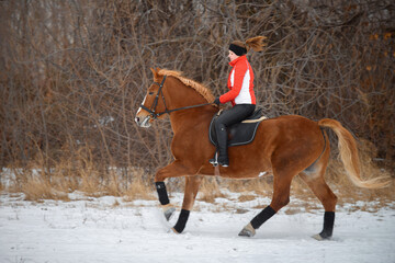 A girl rider trains riding on her horse in the snowy winter.