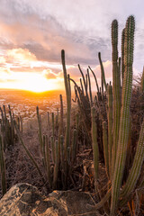 View from the Hooiberg at sunset, Aruba