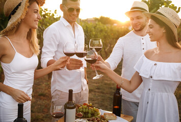 Friends clinking glasses of red wine in vineyard