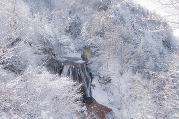 Waterfall in the snow